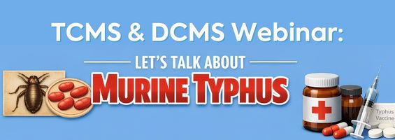 TCMS & DCMS Webinar: Let’s Talk about Murine Typhus